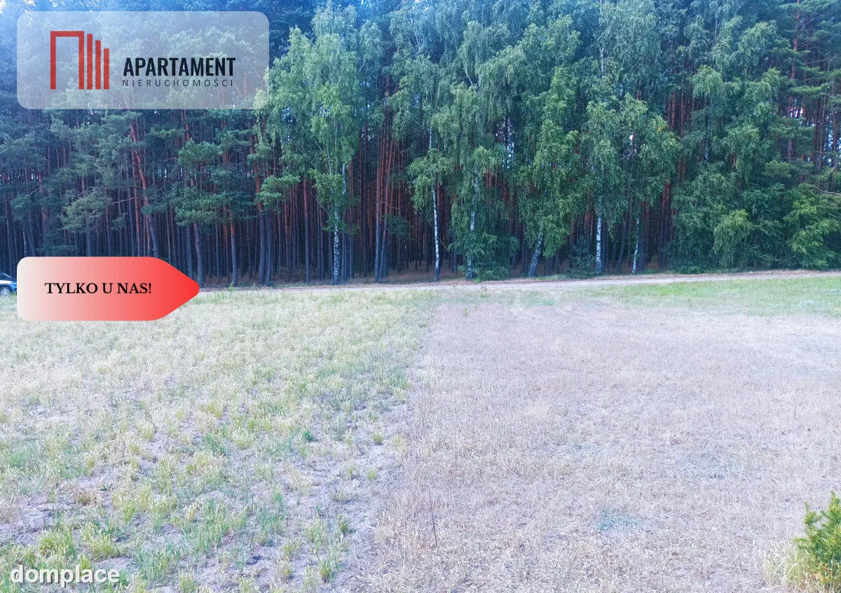 TYLKO U NAS !!! PIĘKNA OTULONA LASEM I C!SZĄ!