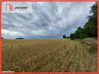 Działki pod lasem w Łabiszynie! — zdjęcie 1