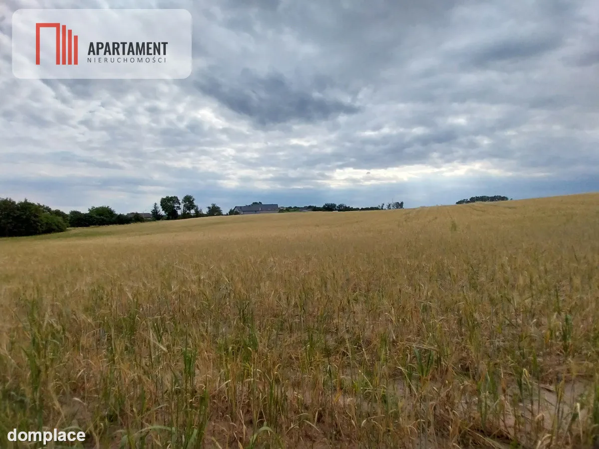Działki pod lasem w Łabiszynie! — zdjęcie 3