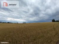 Działki pod lasem w Łabiszynie! — zdjęcie 4