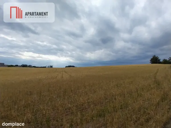 Działki pod lasem w Łabiszynie! — zdjęcie 4