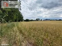Działki pod lasem w Łabiszynie! — zdjęcie 5