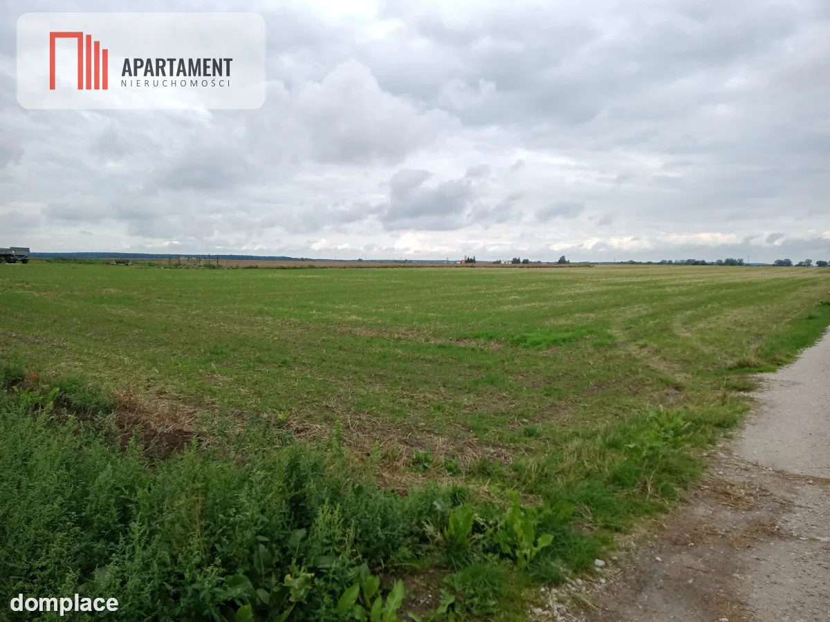 Działka w Parlinie ,gm Dąbrowa, pow. Mogilno — zdjęcie 5