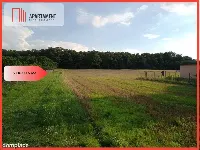Działki pod lasem — zdjęcie 2