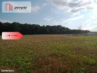 Działki pod lasem — zdjęcie 3