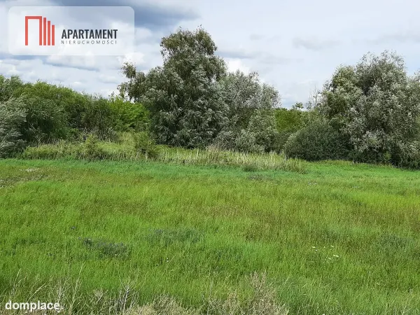Działka w Żninie blisko jeziora Dużego — zdjęcie 2