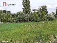 Działka w Żninie blisko jeziora Dużego — zdjęcie 4