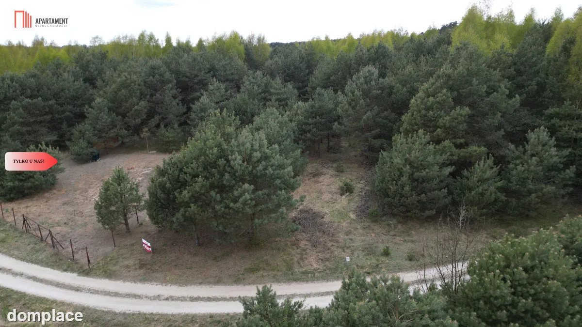 Bory Tucholskie – działka 1195 mkw pod budowę domu — zdjęcie 5