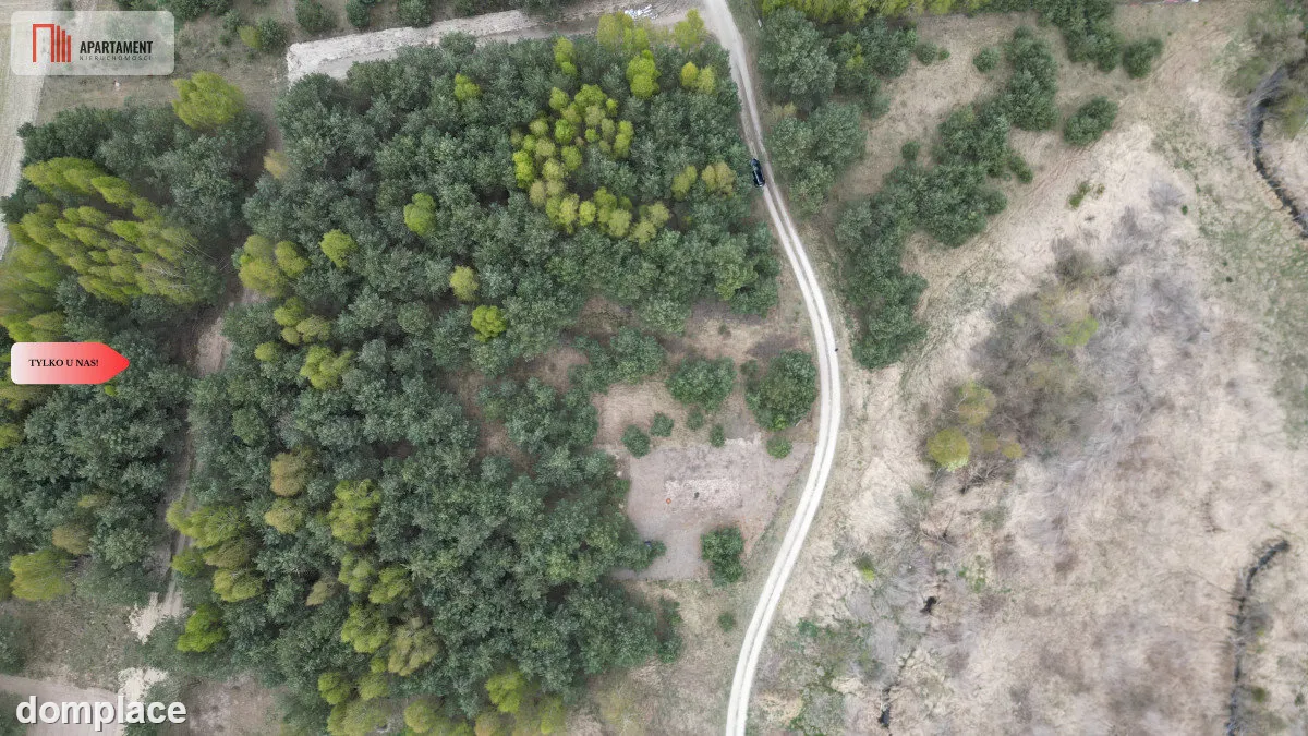 Bory Tucholskie – działka 1195 mkw pod budowę domu — zdjęcie 4