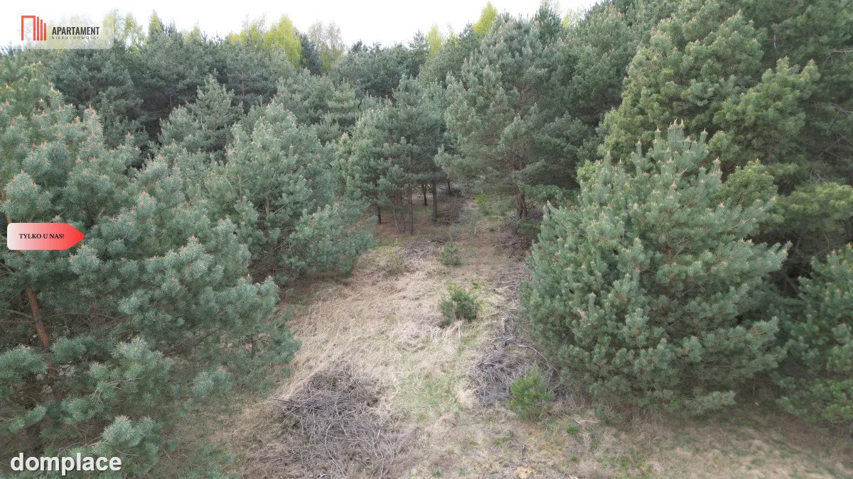 Bory Tucholskie – działka 1195 mkw pod budowę domu — zdjęcie 11