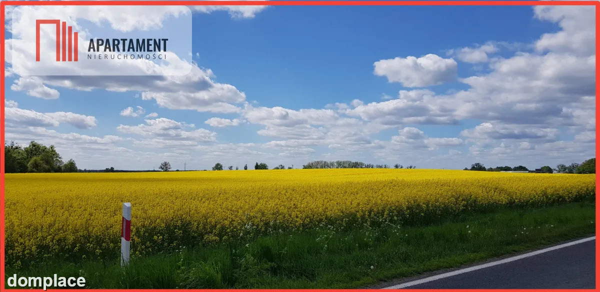 Działka - możliwość podziału! Bory Tucholskie!