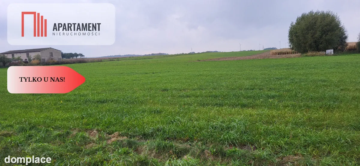 Działki budowlane - Wyrzysk Skarbowy — zdjęcie 2