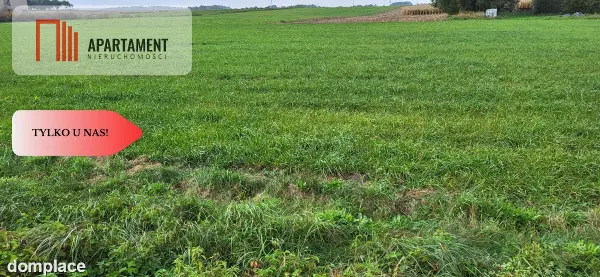 Działki budowlane - Wyrzysk Skarbowy — zdjęcie 3