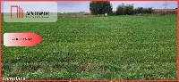 Działki budowlane - Wyrzysk Skarbowy — zdjęcie 4