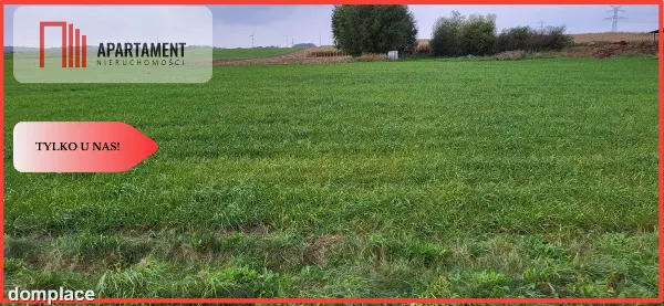 Działki budowlane - Wyrzysk Skarbowy — zdjęcie 4