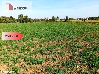 TYLKO U NAS - TOPORZYSKO 1557 CISZA SPOKÓJ — zdjęcie 4