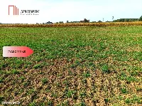 TYLKO U NAS - TOPORZYSKO 1557 CISZA SPOKÓJ — zdjęcie 5