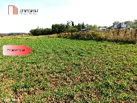 TYLKO U NAS - TOPORZYSKO 1557 CISZA SPOKÓJ — zdjęcie 2