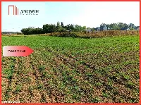 TYLKO U NAS - TOPORZYSKO 1557 CISZA SPOKÓJ — zdjęcie 1