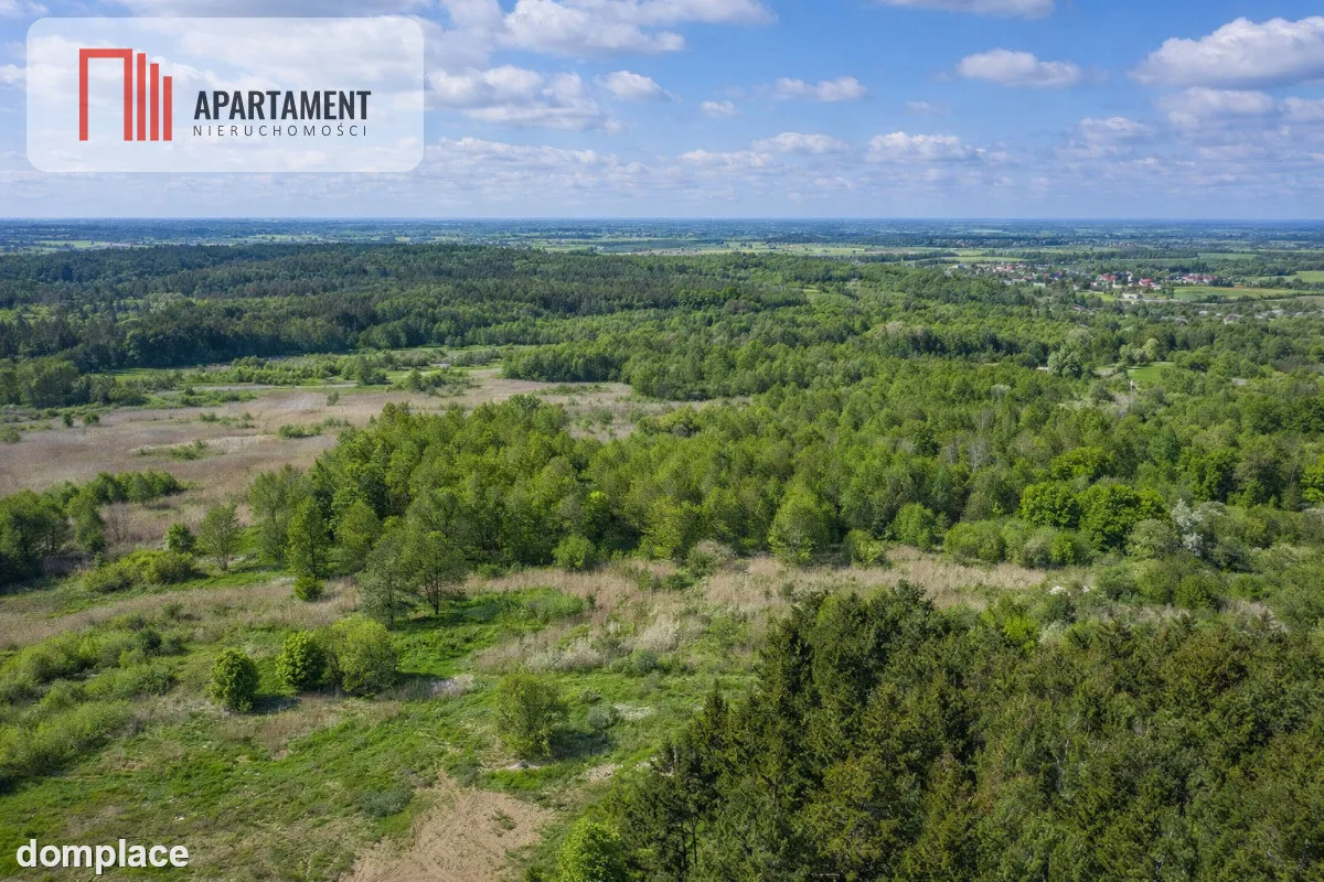 Działka z linią brzegową Drwęcy Natura 2000 — zdjęcie 3
