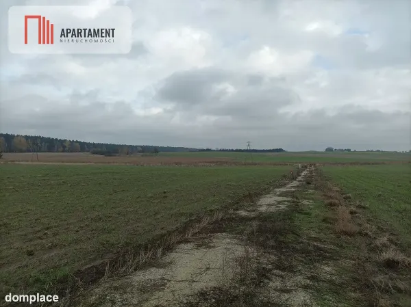 Działka z dala od zgiełku miasta — zdjęcie 2