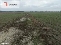 Działka z dala od zgiełku miasta — zdjęcie 4