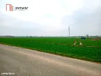 Atrakcyjne działki w Podgórzynie koło Żnina — zdjęcie 2