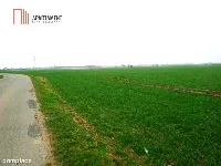 Atrakcyjne działki w Podgórzynie koło Żnina — zdjęcie 4