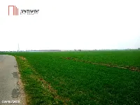 Atrakcyjne działki w Podgórzynie koło Żnina — zdjęcie 7