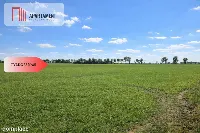 Przestronne działki na sprzedaż, blisko Torunia — zdjęcie 2