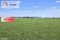 Przestronne działki na sprzedaż, blisko Torunia — zdjęcie 5