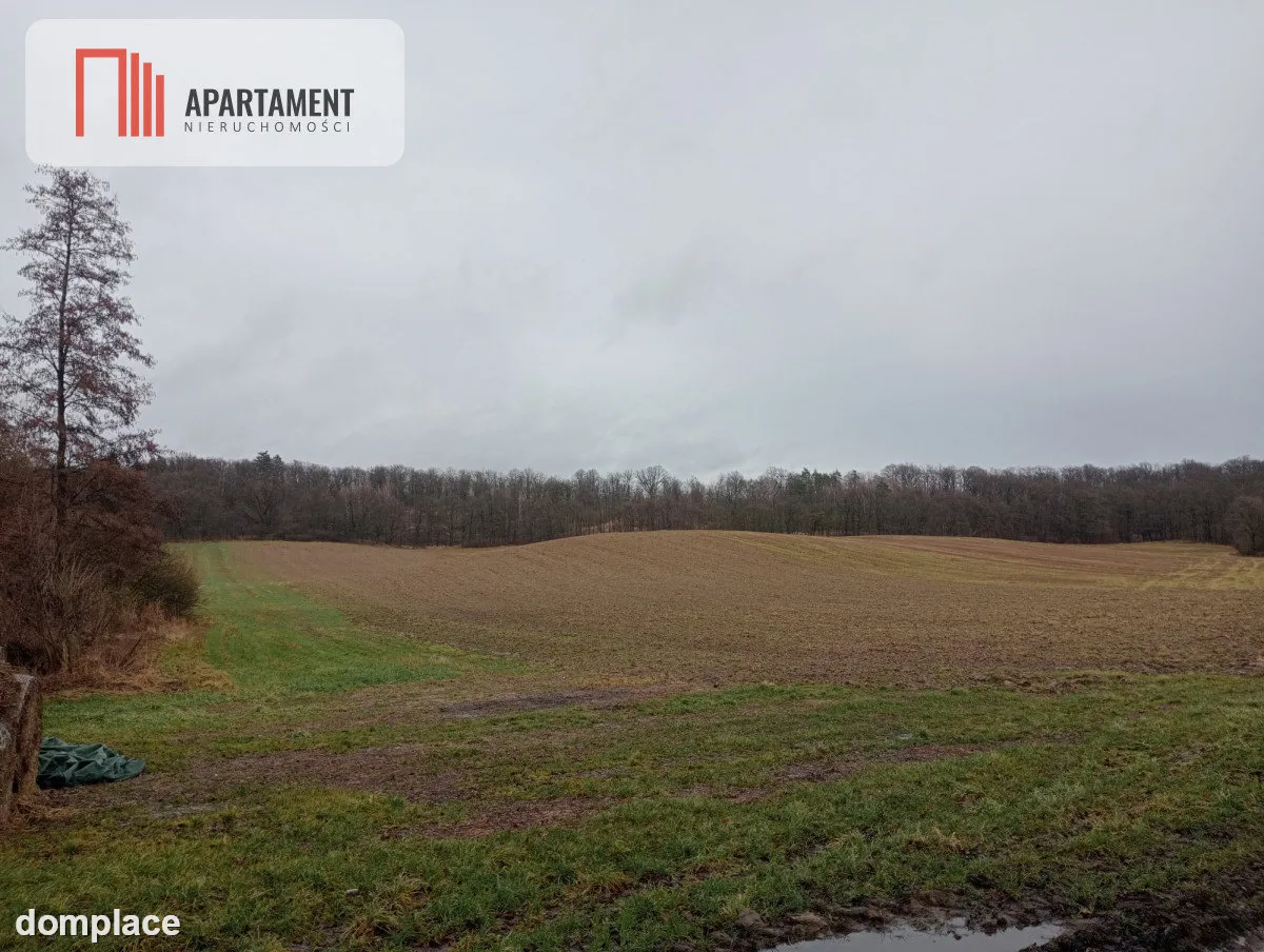 15 ha/działka inwestycyjna/ok. Oborniki Śląskie — zdjęcie 2