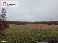 15 ha/działka inwestycyjna/ok. Oborniki Śląskie — zdjęcie 2