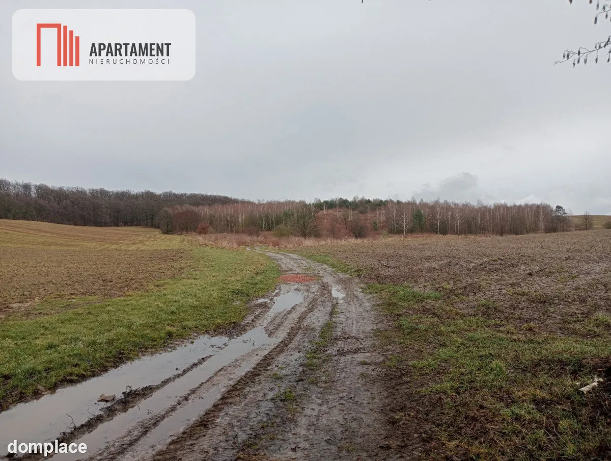 15 ha/działka inwestycyjna/ok. Oborniki Śląskie — zdjęcie 3