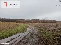 15 ha/działka inwestycyjna/ok. Oborniki Śląskie — zdjęcie 3