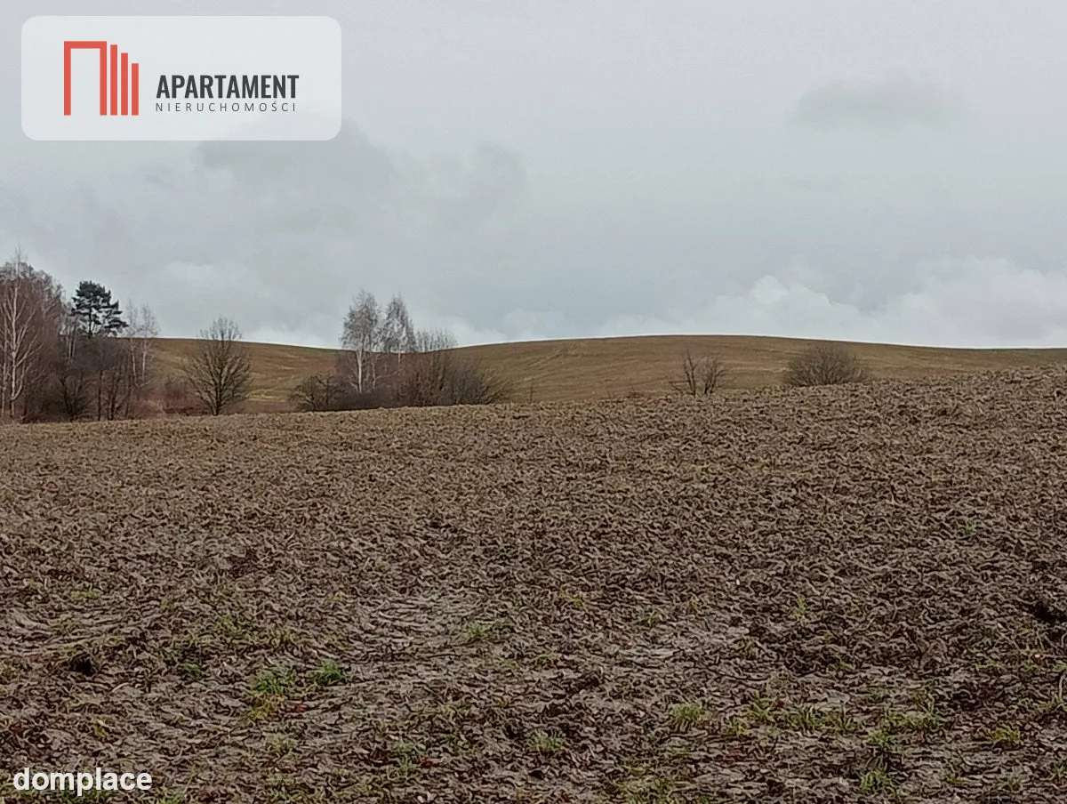 15 ha/działka inwestycyjna/ok. Oborniki Śląskie — zdjęcie 4