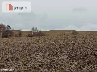 15 ha/działka inwestycyjna/ok. Oborniki Śląskie — zdjęcie 4