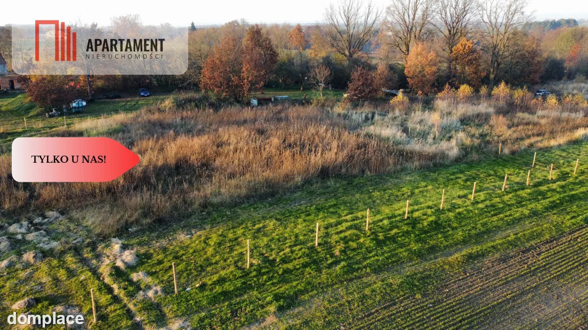 Malownicza działka wśród lasów i pól - OKAZJA — zdjęcie 10