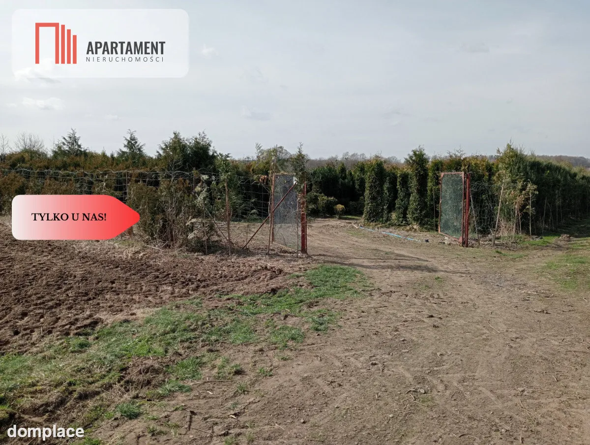 Duża działka 1,73 ha/szkółka drzew iglastych... — zdjęcie 10