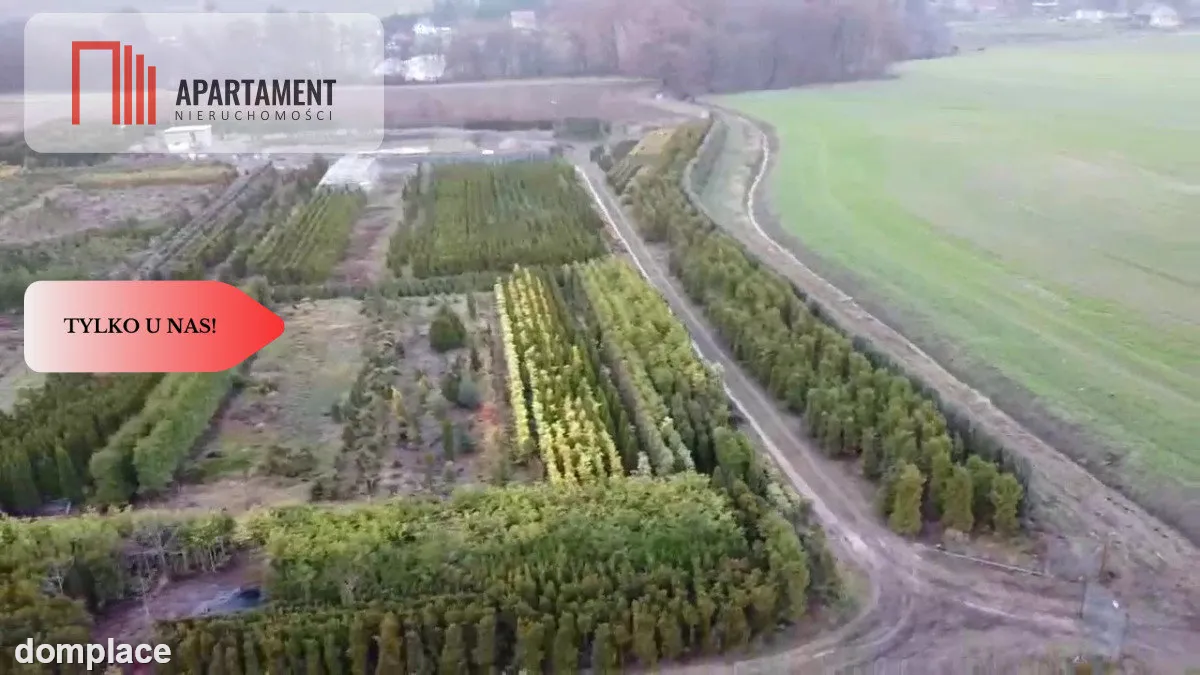 Duża działka 1,73 ha/szkółka drzew iglastych... — zdjęcie 2