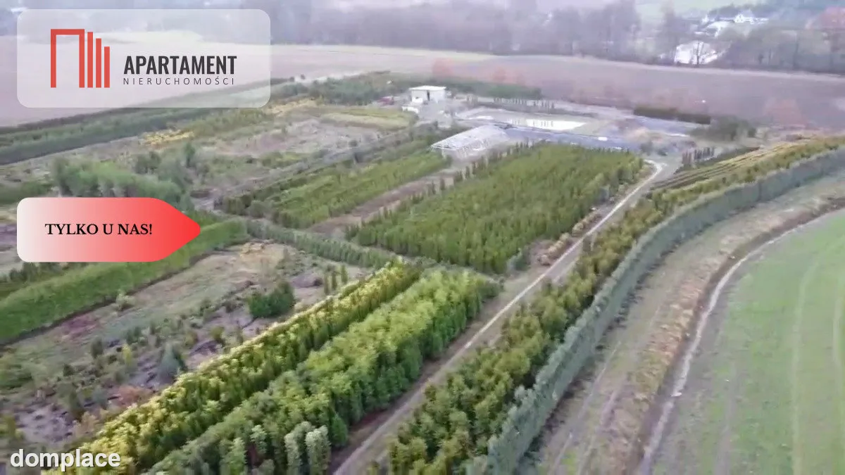 Duża działka 1,73 ha/szkółka drzew iglastych...