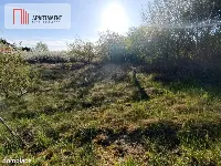 Działka z dużym potencjałem inwestycyjnym! — zdjęcie 5