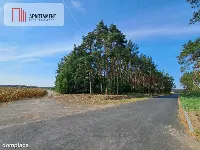 Toporzysko, ul. Kolejowa, pod laskiem — zdjęcie 1