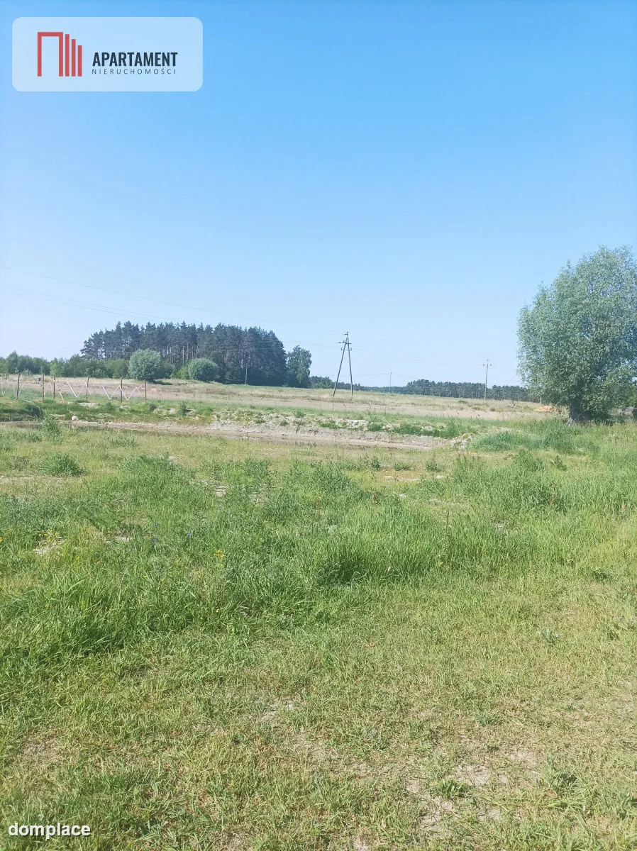 Dąbrowa Chełmińska działka 3072 m2 — zdjęcie 5