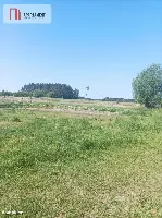 Dąbrowa Chełmińska działka 3072 m2 — zdjęcie 5