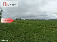 Budynek z potencjałem na dużej działce — zdjęcie 2