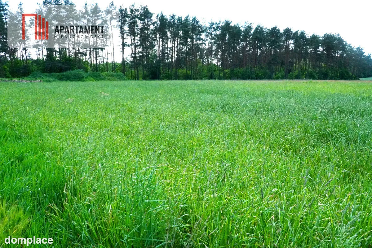 Urokliwe działki nad jeziorem Brzuchowo! — zdjęcie 5