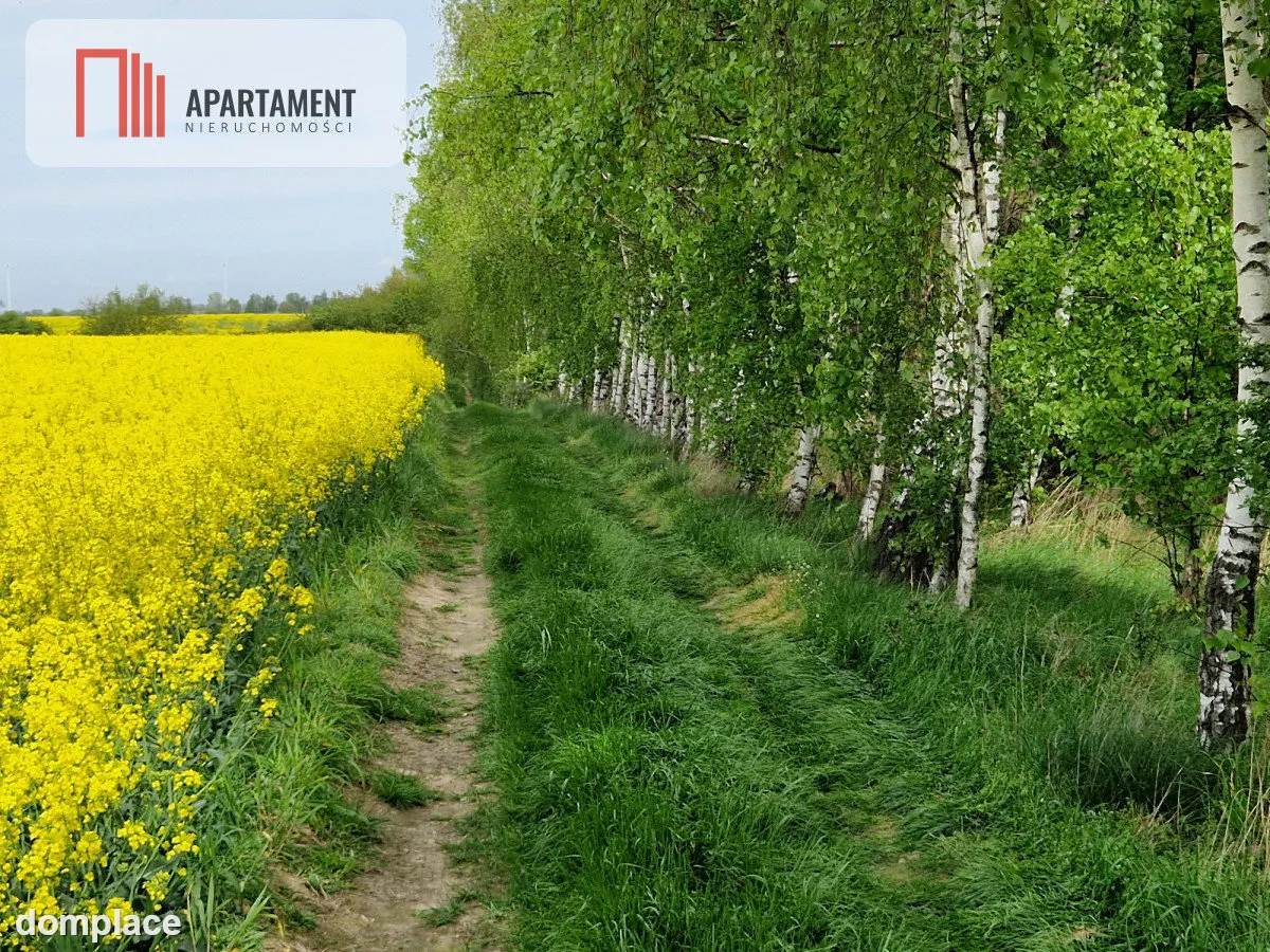 Działki z linią brzegową jeziora — zdjęcie 8