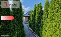 Dom - Bory Tucholskie, fotowoltaika - Czarna Woda — zdjęcie 14