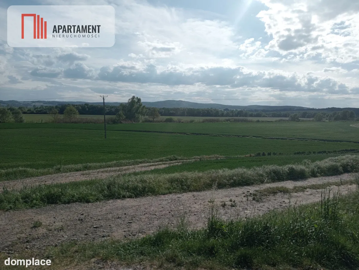 Działka inwestycyjna 2,5 ha — zdjęcie 3